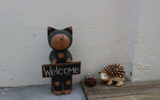 Zzzip Guest House - Hostel