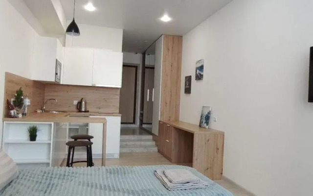 Studio apartments on 41 Tolstogo Street