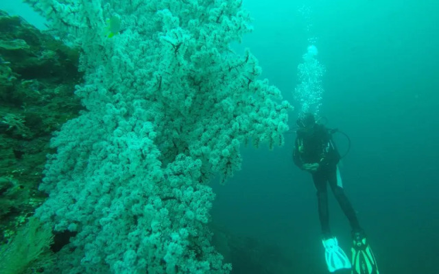 Ocean View Dive Resort Tulamben