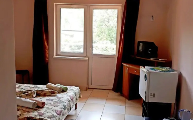 Rodnichok Guest House