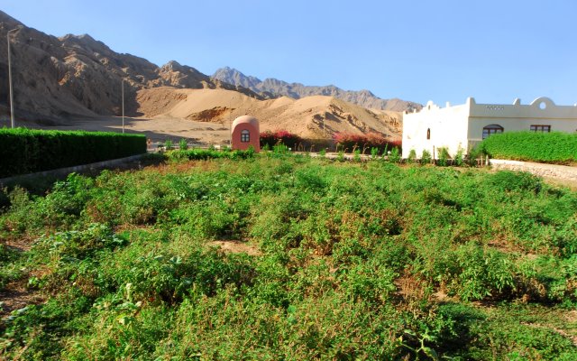 Tropitel Dahab Oasis Resort