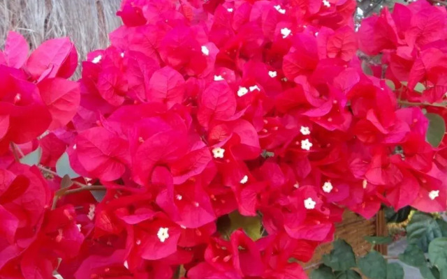Pousada Kaluana
