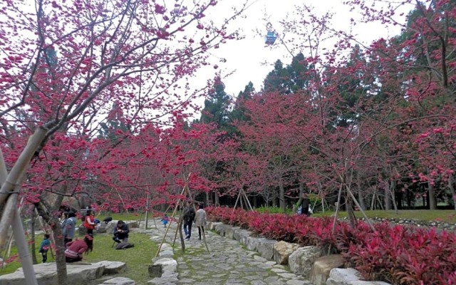 日月潭 Yong Guan