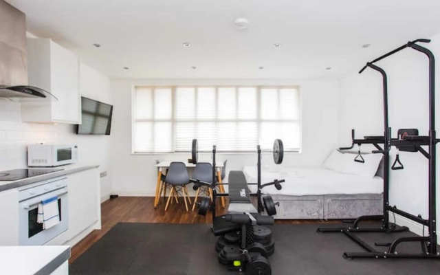 Energised Apartment With Gym in Brent Park