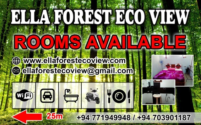 Ella Forest Eco View