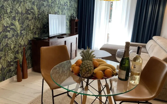 ApartmentSun Parrot
