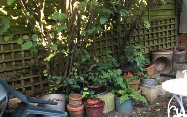 Wansley Manor B&B
