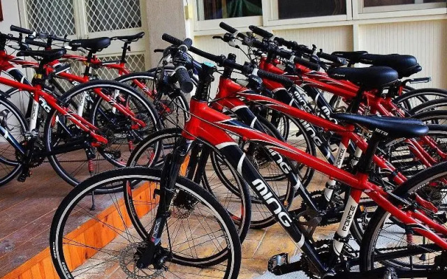 Puli Town Bed and Breakfast