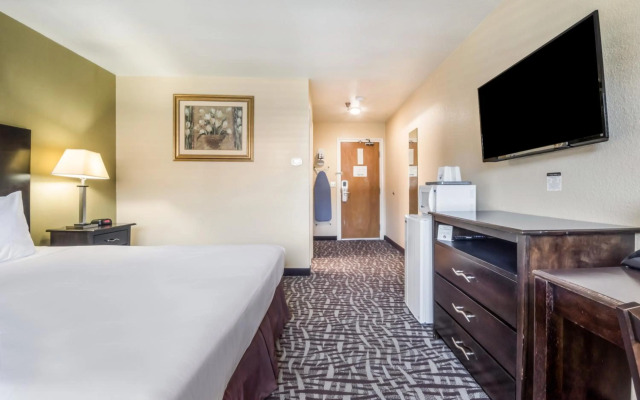 PACIFIC DRIFT San Francisco Pacifica