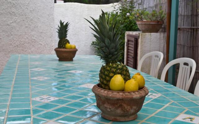 Jungle House - Pineta Is Morus