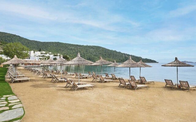 Voyage Torba and Private