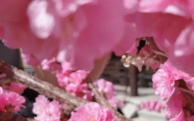 Tianxi Courtyard Hotel