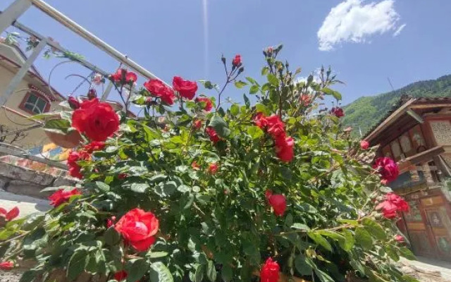 Huajianji Courtyard Home stay