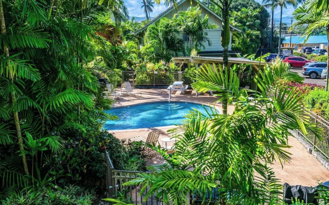 Kapaa Sands 17