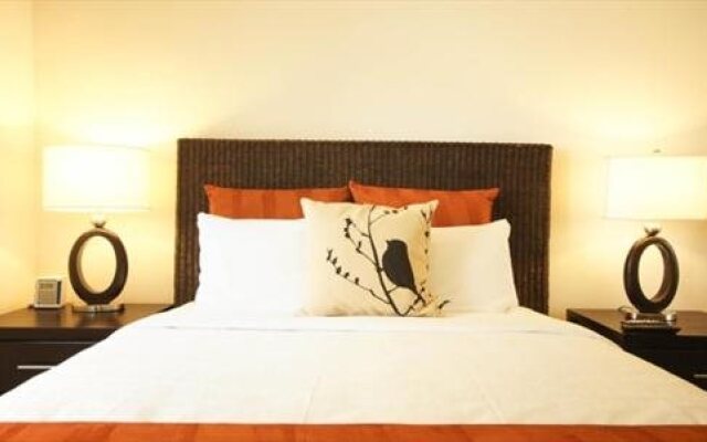 Avalon Mountain View