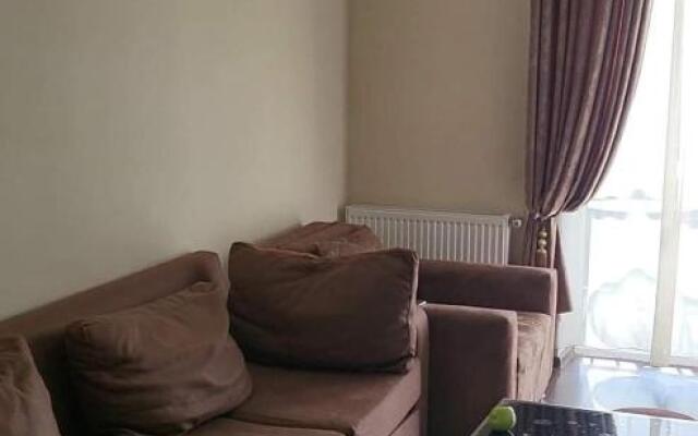 Apartment near didveli