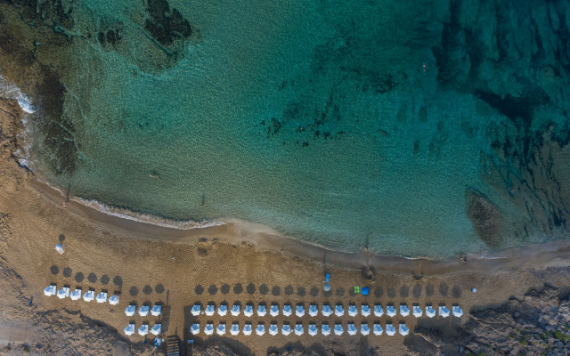 Venus Beach Hotel