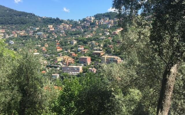 Villa Olivari - apt il Cedro