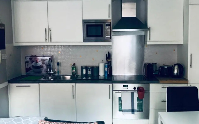 City Centre Luxury Georgian-style Apt
