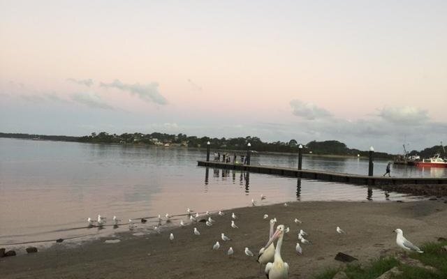Culburra Beachhouse