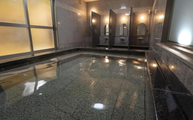 Hotel  New Gaea Iizuka