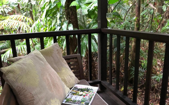 Daintree Wilderness Lodge