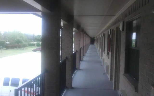Tweetys 9 Diamond Inn