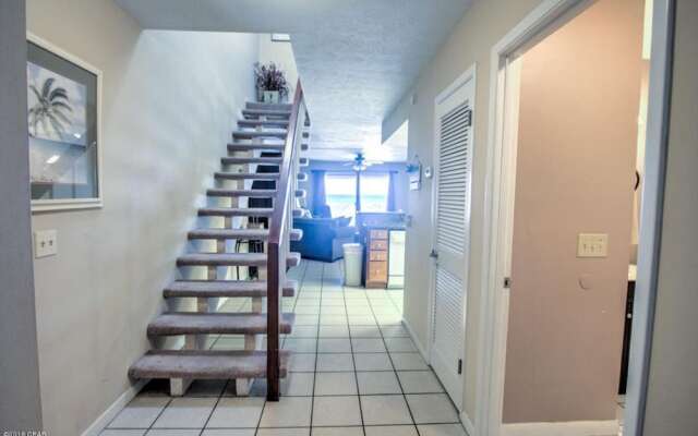 Sunbird Paradise - 1383972