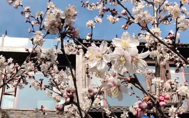 Yinshan Homestay