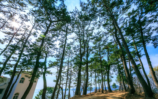 Tongyeong Beachcastle Resort