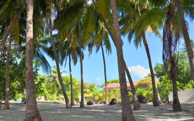 Rashu Hiyaa