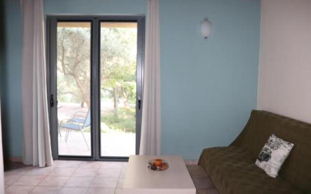 Vassia 1
