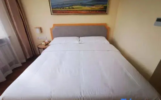 Vienna 3 Best Hotel (Harbin Railway Station China Baroque)