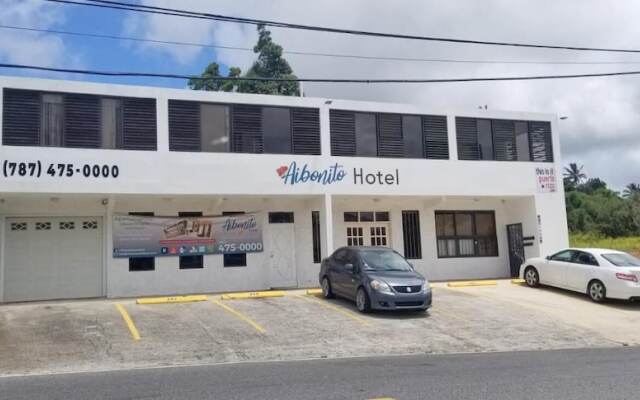 Aibonito Hotel 210