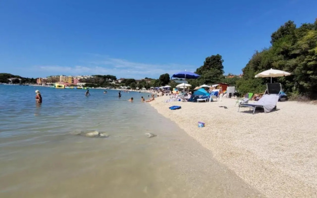 New Mobilehome Elena at Camp Volme