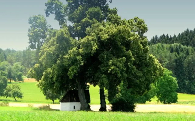 Holiday Apartment Chapel