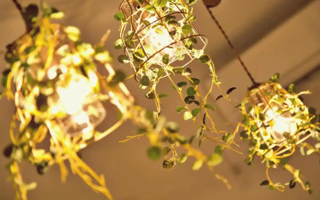 Vent du Vent - Vacation STAY 83347v