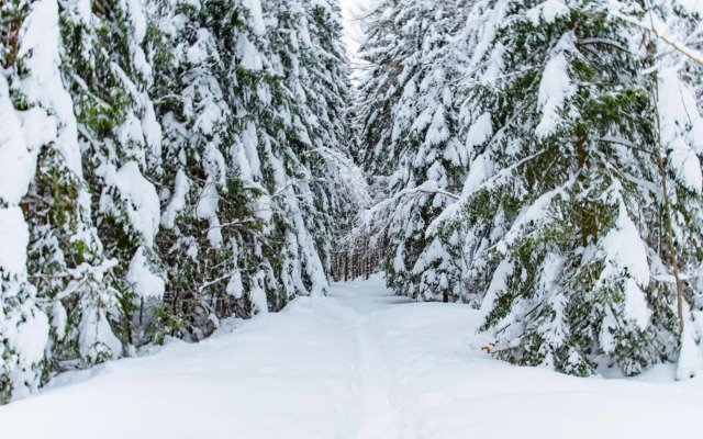 Útulný apartmán v blízkosti Mumlavských vodopádů