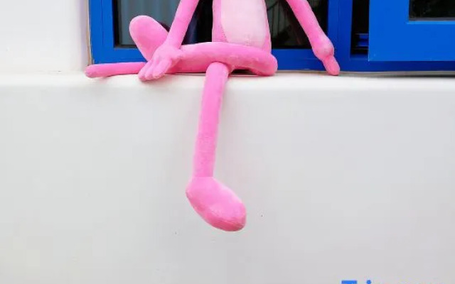 Tree&Bear Guesthouse