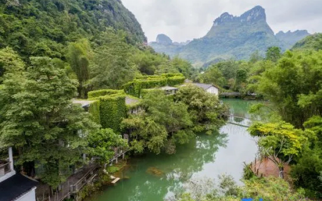 Guangyue Shang Collection