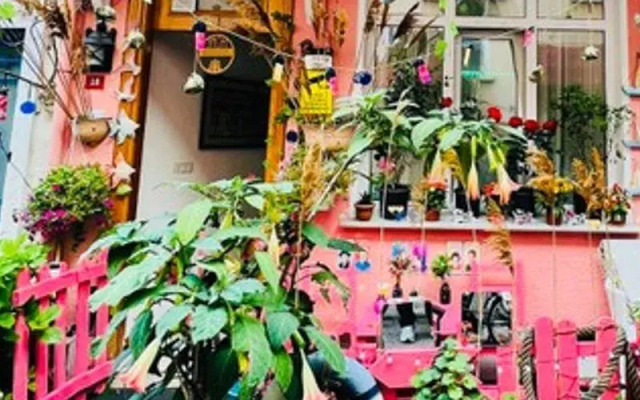 Pembe Pansiyon