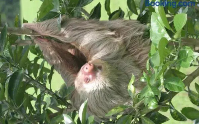 Sunrise 26 at Tamarindo
