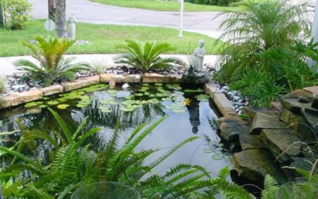 Tropical Paradise Bed & Breakfast