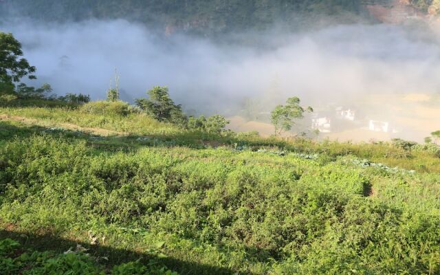 Wangdue EcoLodge