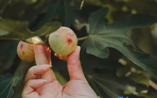 Floral Lux Hotel·Jurong Lihuyuan Hotel