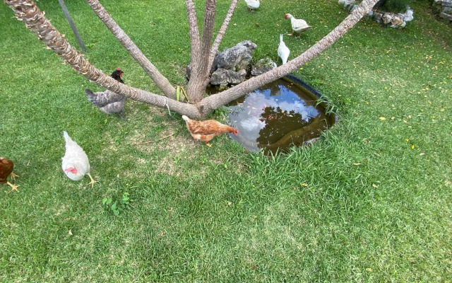 A Casa di nonna Emilia