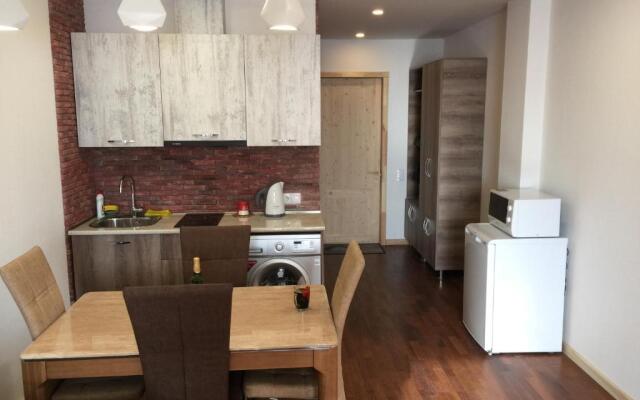 Apartment New Gudauri IV