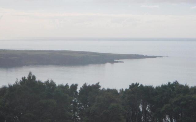 Nga Puriri Bed and Breakfast