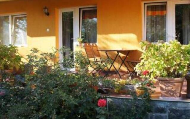 Raza Soarelui Pension (Adults only)