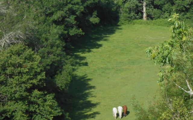 Chambre d'Hôtes Cugnac
